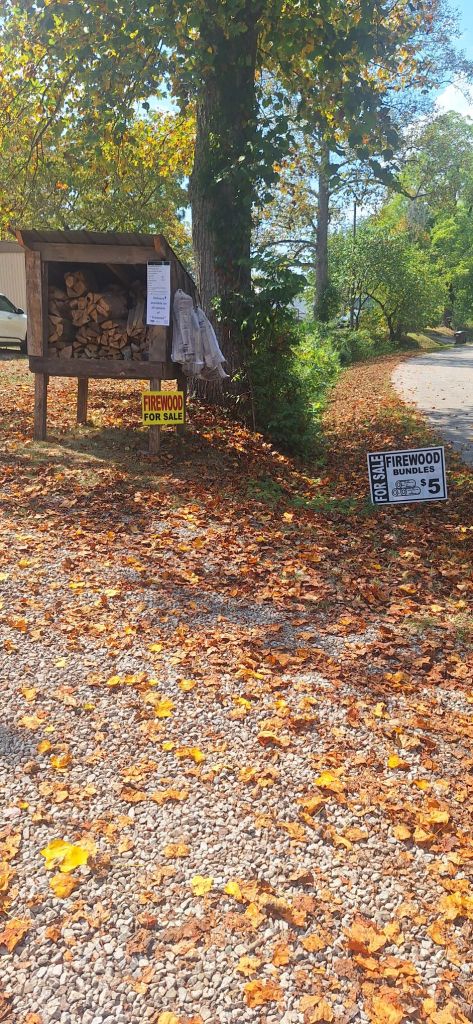 near Hocking Hills Yogi Bears Jellystone Campground  and also near Lake Hope State Park